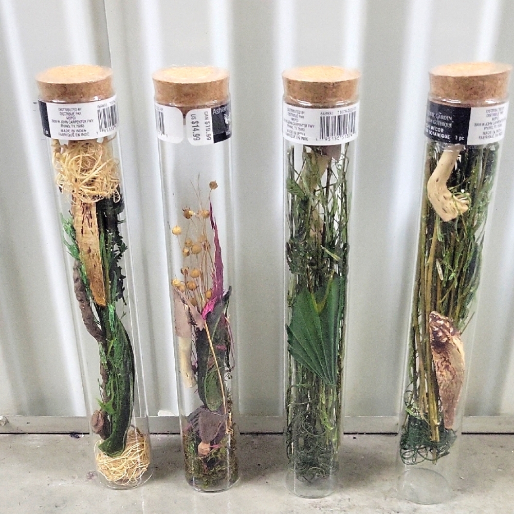 Decorative Glass Tube with Natural Elementsfor Home Decor